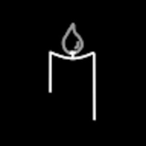 Meet your Posher, Cole